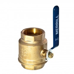 2" Brass Full Port Valve MODEL #BFPV200
