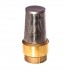 4" Brass Foot Valve MODEL #FVB4