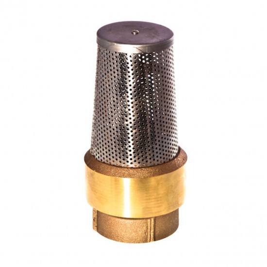 3" Brass Foot Valve MODEL #FVB3