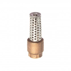 3/4" Brass Foot Valve MODEL #FVB3/4