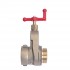 Brass 2 1/2" Brass Hydrant Gate Valve